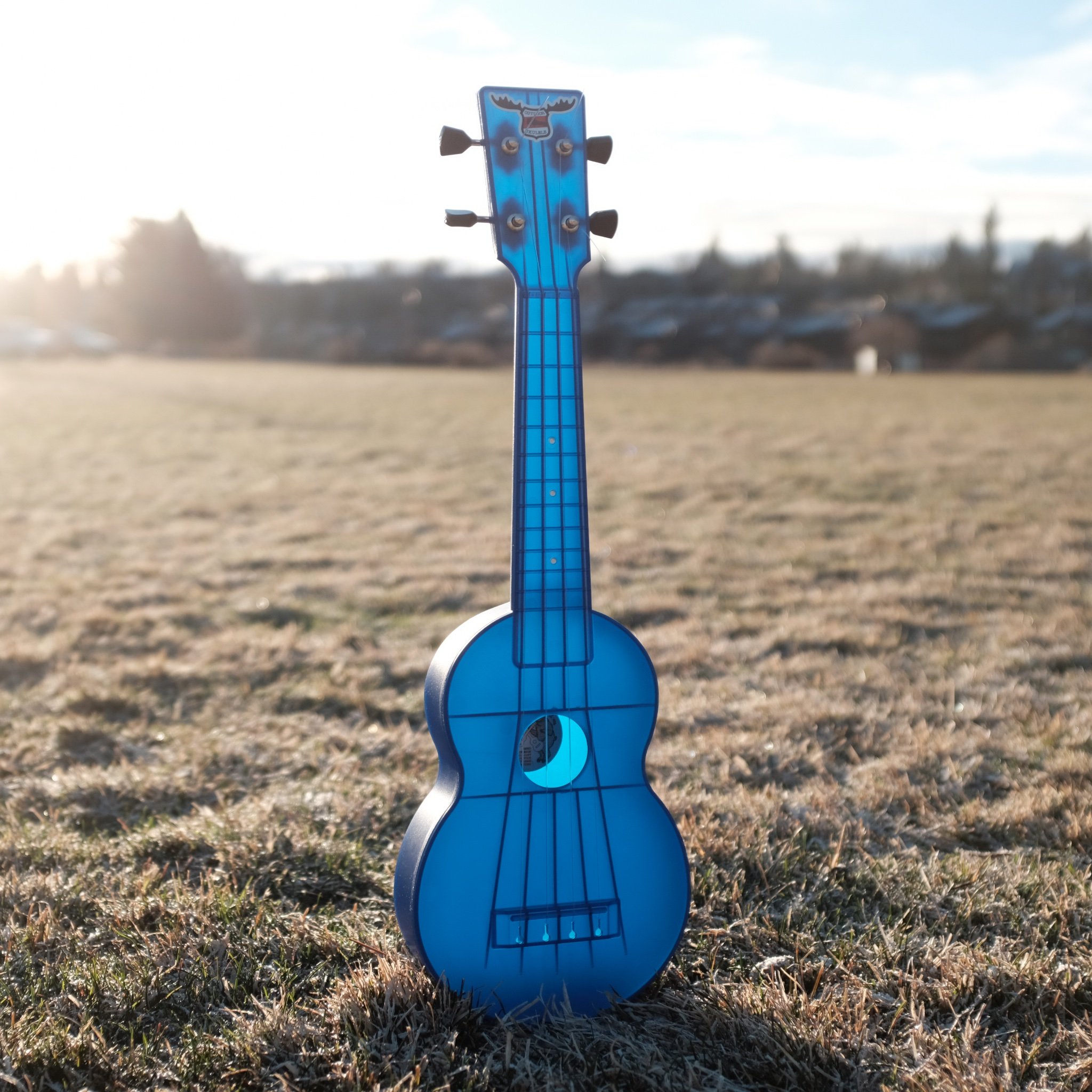 5 Best Beginner Ukuleles for Kids Best Kid Stuff