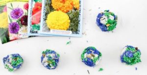 Seed Bombs Earth Day STEM Activity 2