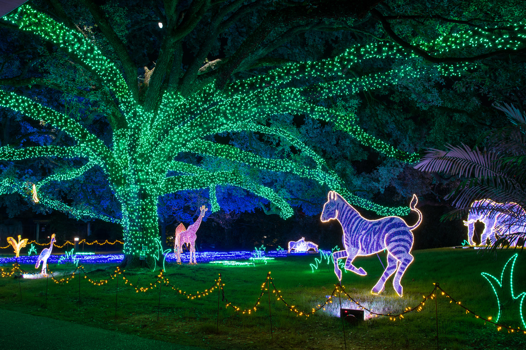 Zoo Lights 0042 1995