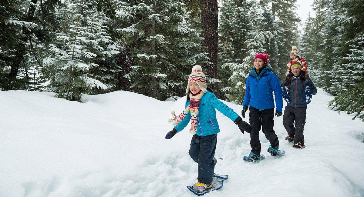 whistler snowshoeing