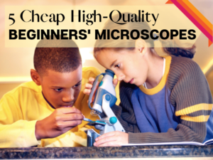 Microscopes featured