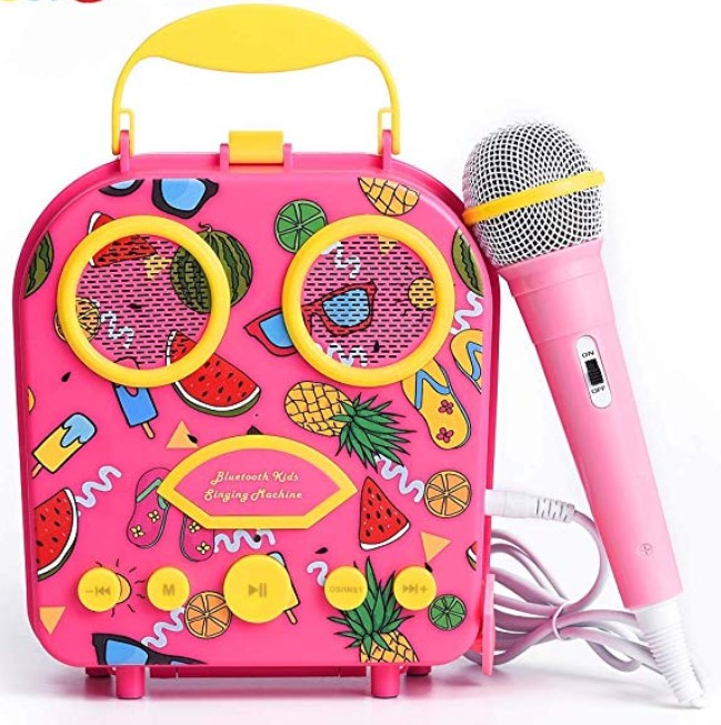 HowQ portable karaoke machine