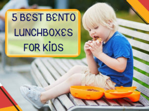 lunchbox featured