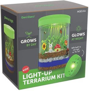 6 year old girls gifts Light-up Terrarium Kit