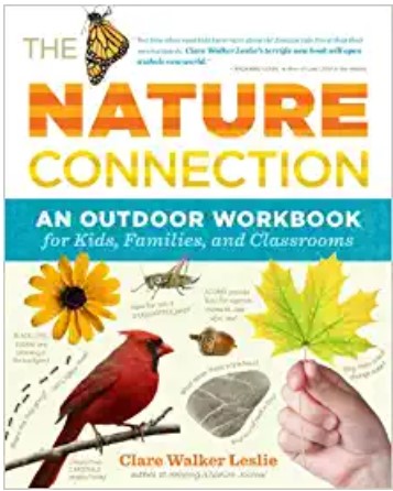 homeschool nature workbook