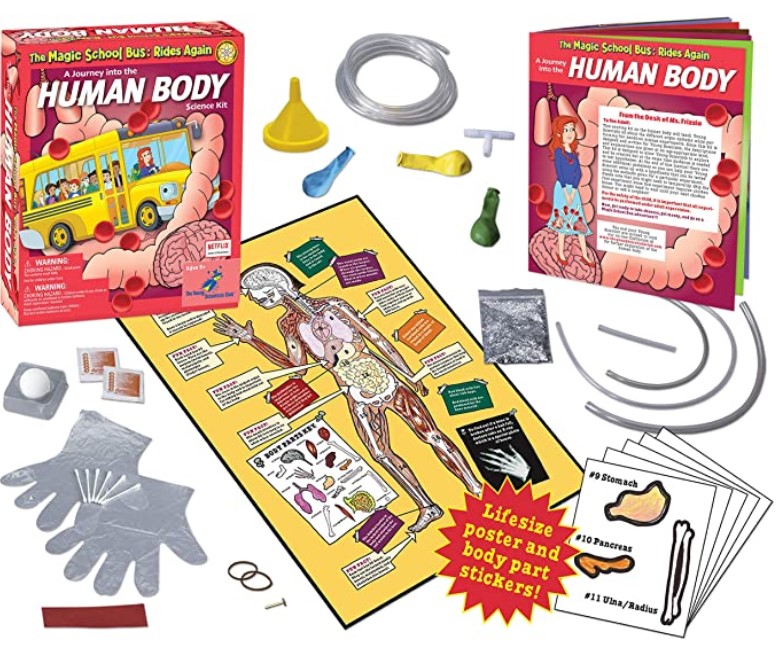 homeschool human body kit