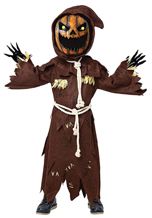 Scarecrow Preschooler Costume 