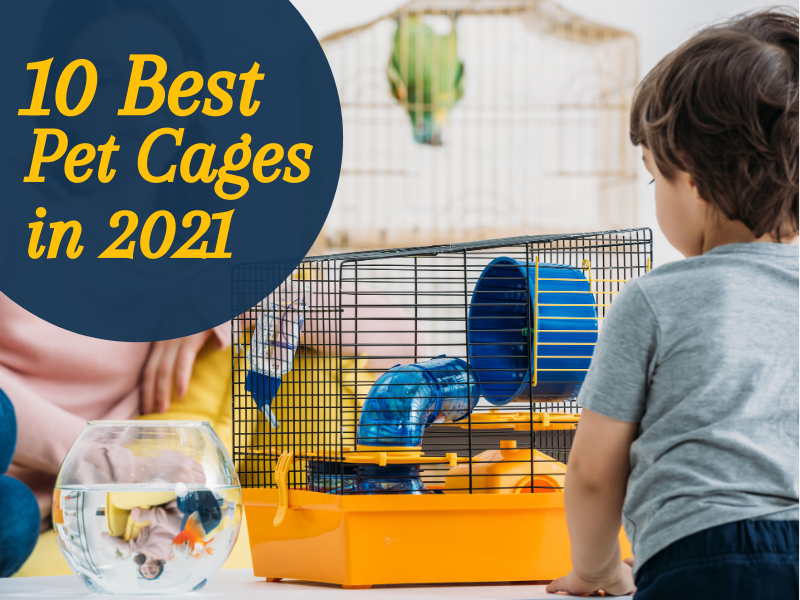 BKS-pet cage-featured