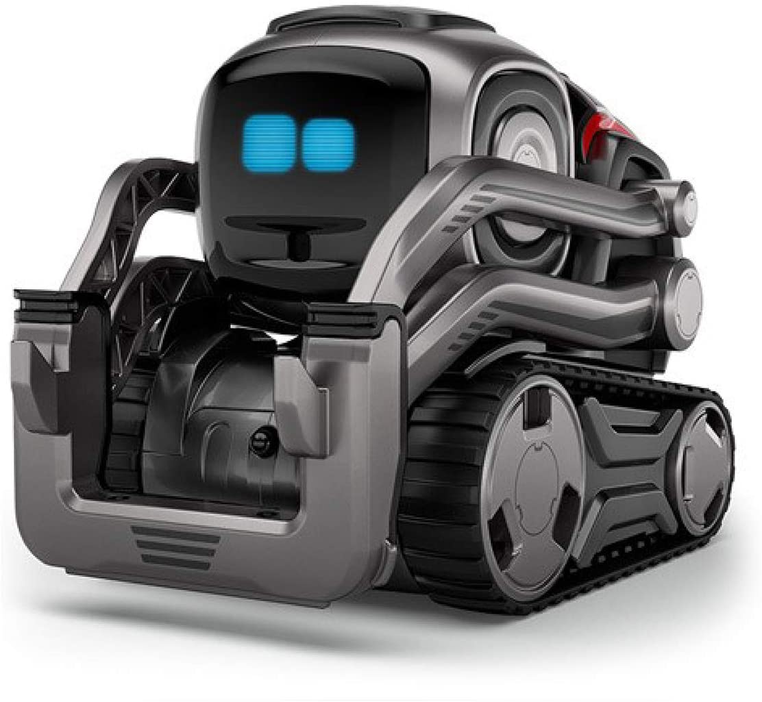 Occupy bored Child Anki Cozmo