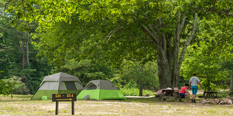 Best Family-Friendly Campgrounds in Each State 39